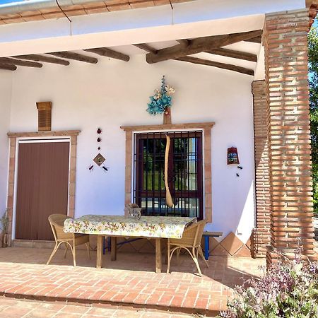 Finca Rural Mazuqueto Jubrique Ngoại thất bức ảnh