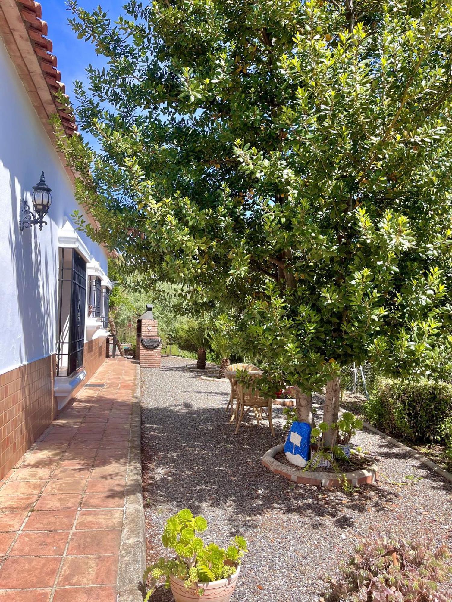 Finca Rural Mazuqueto Jubrique Ngoại thất bức ảnh