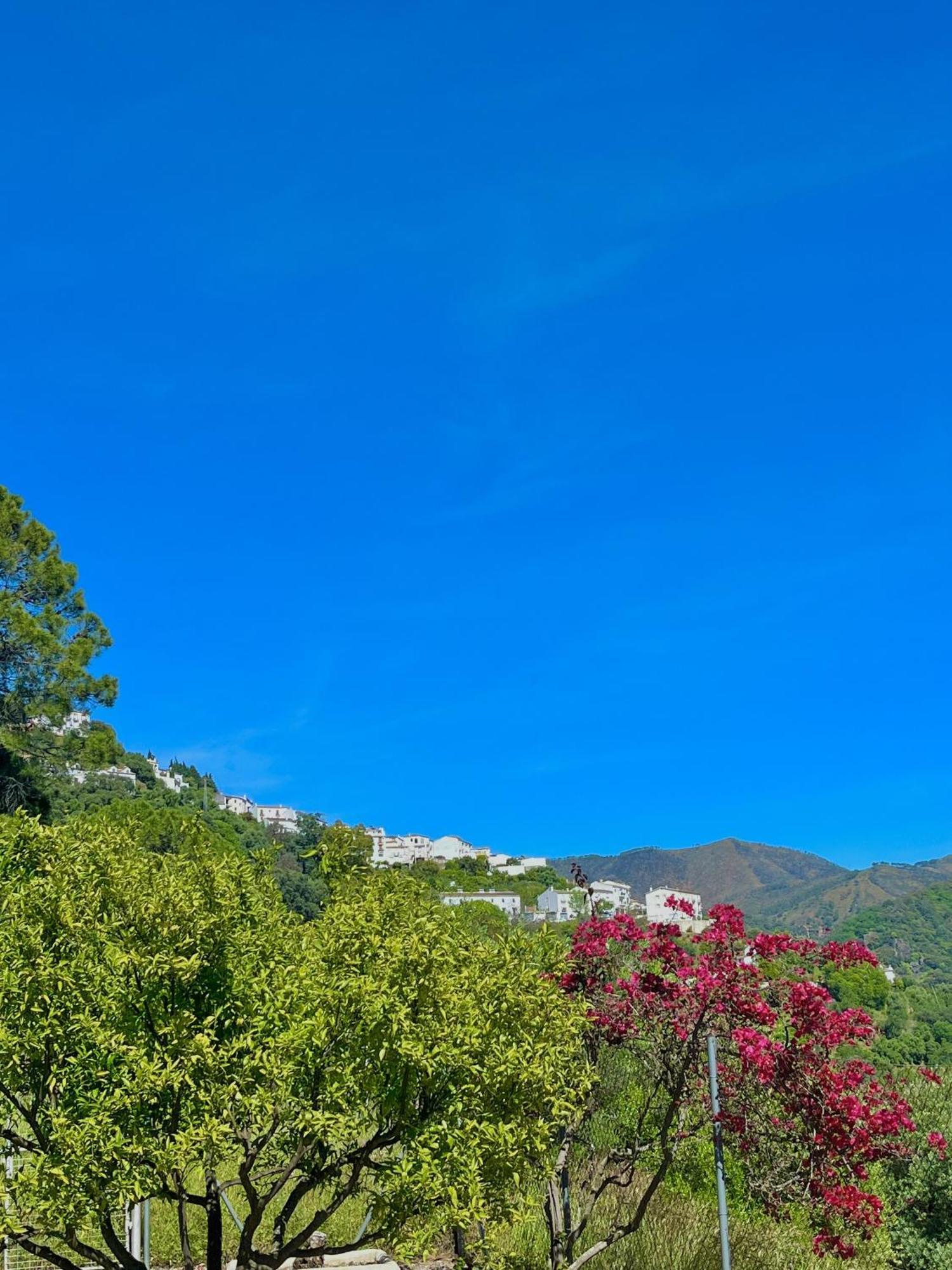 Finca Rural Mazuqueto Jubrique Ngoại thất bức ảnh